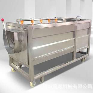 家用山楂冲浪式气泡清洗机 石榴专业水浴式自动清洗 无损坏