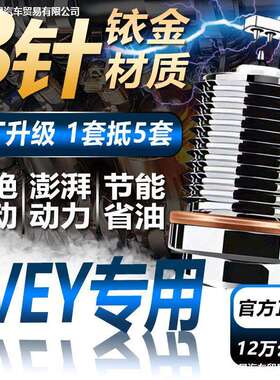 魏派双铱金WEY火花塞WEY P8/VV5/VV6/VV7原厂原装升级2.0T
