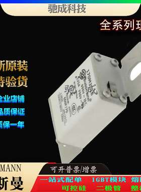 巴斯曼170M1484 170M1485 170M1487 加工制作零售  紧凑熔断器