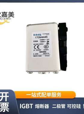 170M4446 170M4418 快速熔断器  电子元器件 库存充足 量大价优