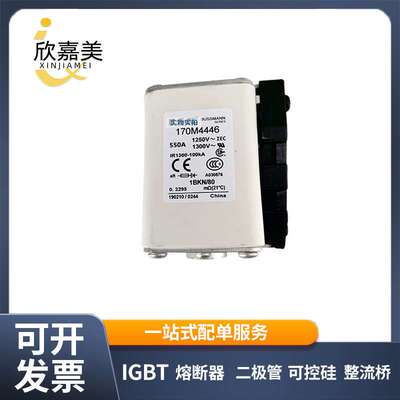 170M4446 170M4418 快速熔断器  电子元器件 库存充足 量大价优