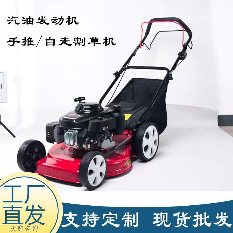 厂家直供自走手推割草机 汽油四冲程杂草修剪机 家用汽油草坪机