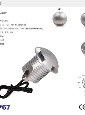 侧发光透光偏光地埋灯3W户外防水IP67广场埋地LED龟壳灯12V地板灯