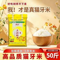 50斤大米晚稻长粒米25kg现磨油粘米不回生商用家用大袋装便宜批发