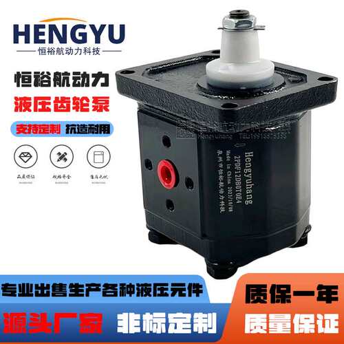 Hengyuhang齿轮泵2PDF12DB0T0E4布赫泵BUCHER液压泵AP200油泵高压