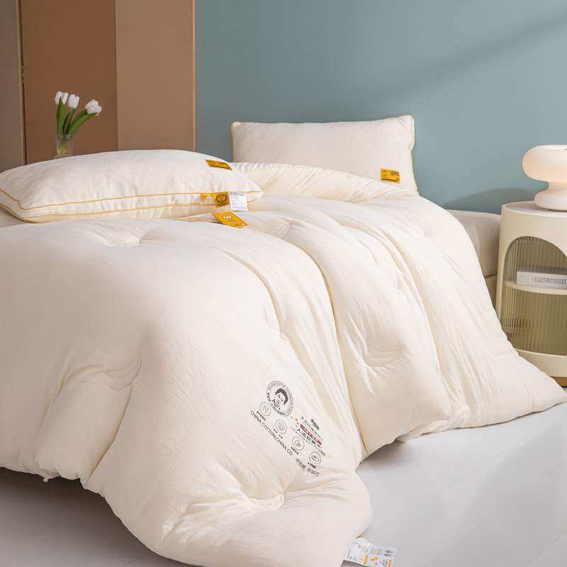 A类李官齐大豆纤维被冬被加厚保暖春秋被芯棉被学生宿舍四季通用,玩具/童车/益智/积木/模型,遥控车升级件/零配件,淘宝优惠券,粉丝福利购,淘宝优惠卷