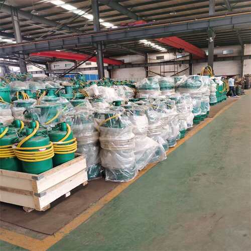 BQS500-135/2-315/N潜水泵 排污能力强 BQS排沙排污潜水泵