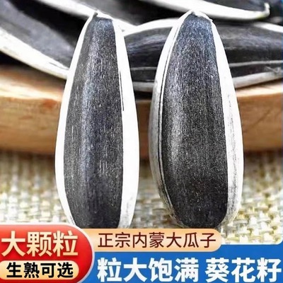 新鲜生瓜子原味瓜子新货内蒙古大颗粒葵花籽363薄皮瓜子现货5斤装