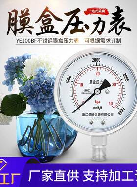 不锈钢膜盒压力表YE100BF径向不锈钢膜盒耐震压力表膜片压力表