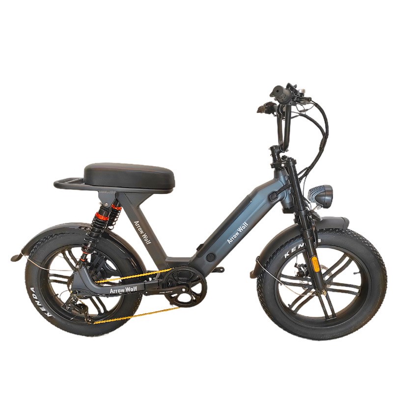 20寸山地e电动自行车雪地电动自行车大功率电动自行车双驱电动自