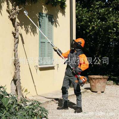 意大利欧玛原装进口汽油高枝锯高杆锯高枝油锯果子修剪园林绿化