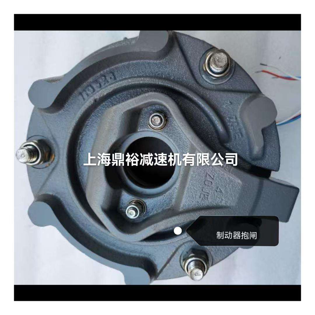 进口BM31 HF 300NM 400AC电磁制动器 45KW电机抱闸总成 现货配件