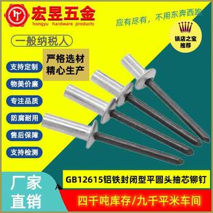 铝铁封闭型平圆头抽芯铆钉 GB12615密封3.2 4.8 头拉铆钉 6.4元