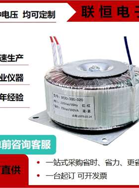 环型变压器300W220V110V36V24V12V环牛纯铜变压器