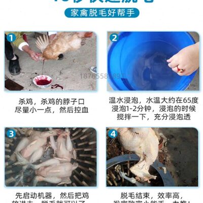 机机褪鹅去毛脱毛鸡拔毛神器禽打全自动鸡家机鸭商用毛杀不锈钢毛