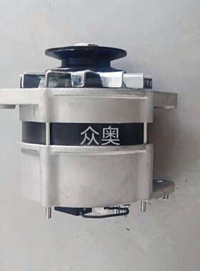 适用GEHL盖尔滑移装载机发电机AAK1830发电机11203707发电机12V