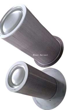 QX201651/ZS1110143 /EAY68411/EST65994/03340028空压机配件油分