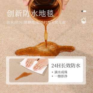 新中式地毯客厅2024新款家用卧室地垫防水免洗可擦仿剑麻免打理毯