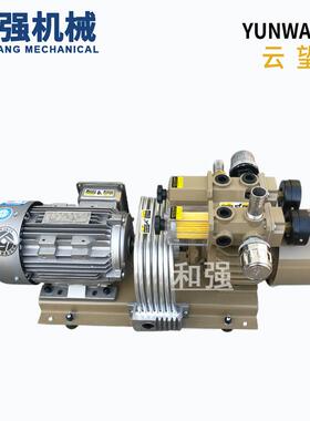云望YUNWANG WZB25-P-B-01增压泵 自动机化机械用泵