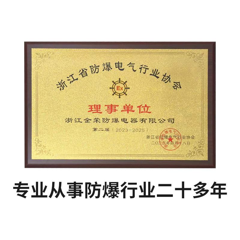 BQC53防爆磁力启动器电磁起动配电箱 配电柜电动机直起动力控制箱