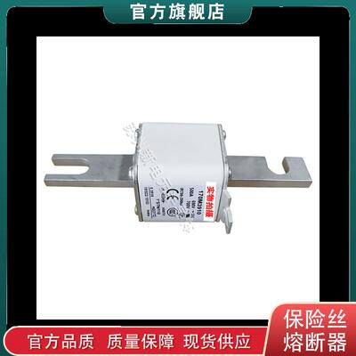 170M3906 3907 3908 3909 3910 巴斯曼bussmann快速熔断器保险丝