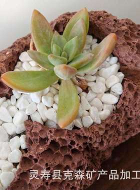 厂家供应鹅卵石切片出口 机制鹅卵石黑色 红色 白色各种石材加工