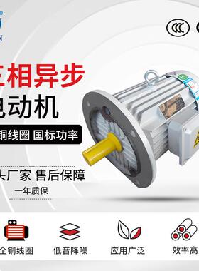 YE3系列三相异步电动机厂家 YE3-90L-8极马达 0.55KW380V交流电机