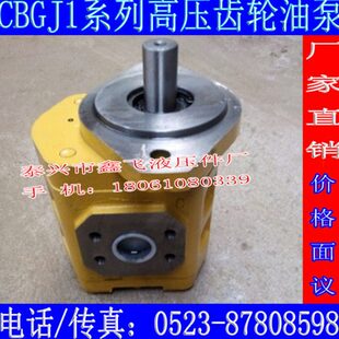 G10CJJ50齿轮油泵润滑泵CCGB40JB10B高压装 载机45J液压泵10G