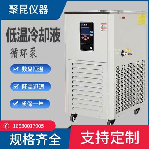 /DLSB-30L低温冷却液循环泵冷却水循环泵低温循环泵