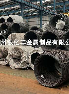 现货供应SAE1045冷镦线SAE1045冷镦钢盘条