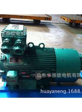 YZRE225M-8-22KW电机IP66防护等级YZR等级B35标准双伸轴415V/50HZ