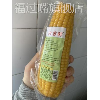 促销新日期有嚼劲忻州传统黄老式笨玉米棒新鲜香糯低卡代餐儿时味
