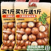 农科院2025年新货夏威夷果官方旗舰店正品 坚果原味年货精选零食