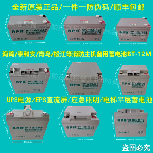海湾GST松江利达天成泰和安消防主机EPS应急报警备用蓄电池BT-12M