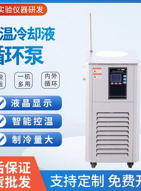 低温冷却液循环泵DLSB-5L10L20L低温冷却循环泵低温槽厂家供应