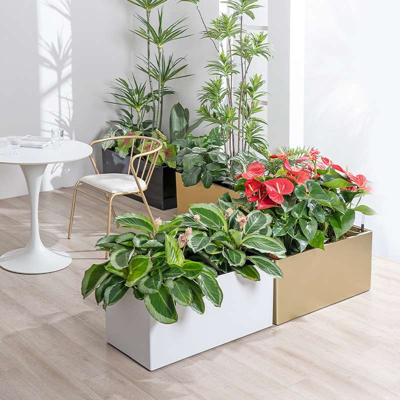 落地塑料长条花盆花箱组合隔断庭院广场商场围栏花槽花盆