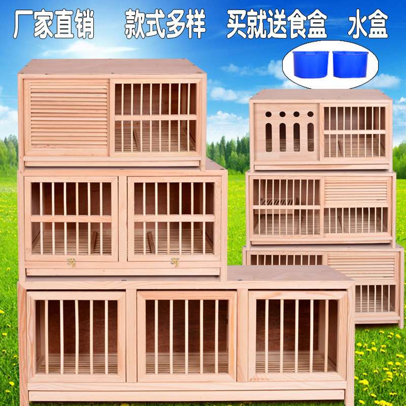 鸽子信鸽巢箱配对笼赛飞巢箱实木鸽子笼鸽具木质笼子工厂一件