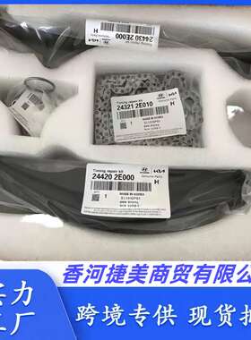 243212G111  244102G810 244202C101 244312G101 244202E0发动机