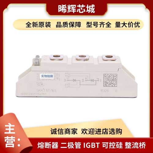 SKKT210/22EH4  SKKT213/08E 型号齐全 标准封装可控硅整流器