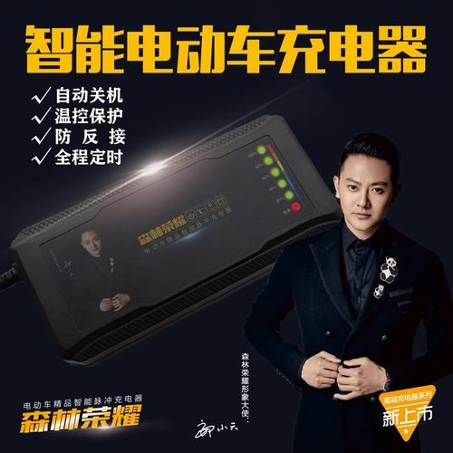 森林荣耀自动断电电动车充电器48V12AH60V2H0AH72V32A35AH自动断