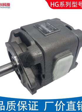 海特克齿轮泵HG0/1/2-13/16/25/40/80-01R-VPC 替HYTEK内啮合油泵