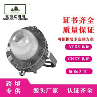 LED防爆灯石油炼化平台化工平台用国标LED防爆平台灯