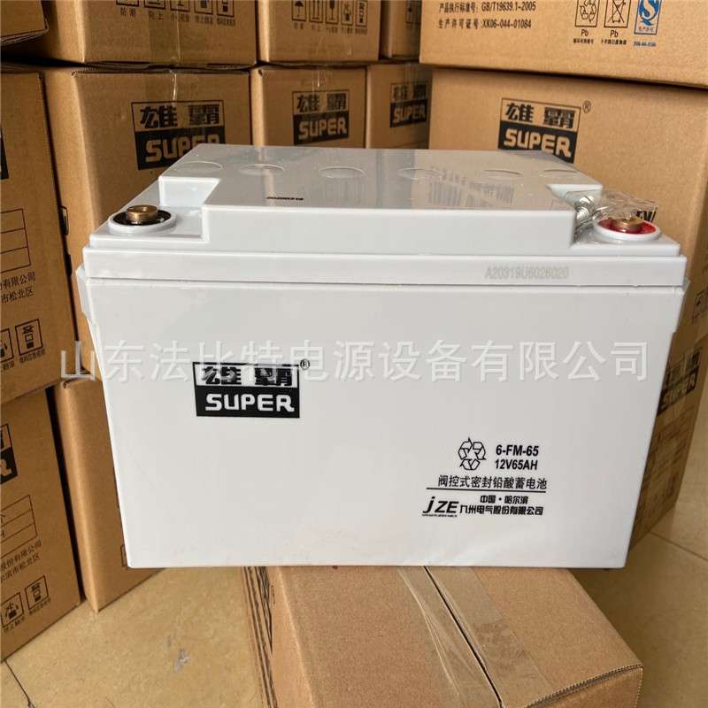 雄霸蓄电池6-FM-12 12V12AH九州电气 太阳能机房应急系统