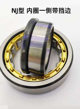 圆柱滚子轴承  N NJ NU NF  2232  2234  2236  2238EM