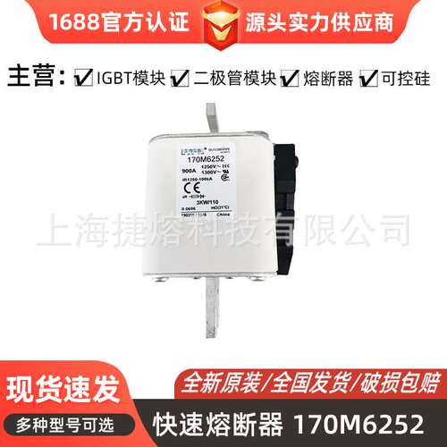 170M6252  170M6253 快速熔断器  保险丝 电子元器件 量大价优
