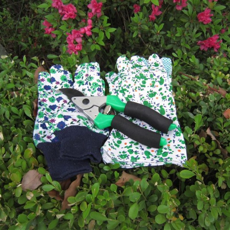 家庭园艺剪刀树枝剪刀果枝剪园林D剪刀花剪刀修枝剪刀花艺修枝剪