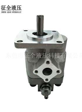 征全HGP-2A-PR1调压齿轮泵液压齿轮油泵可调压力自动机械齿轮油泵