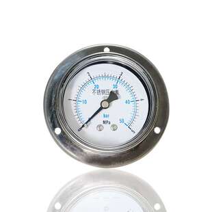 全钢压力表不锈钢轴向带前边埋入式法兰安装 YBF60ZT 5MPA 50BAR