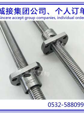 THK滚珠丝杠BNK1004-2.5RRGO+230LC5Y BNK1004-2.5RRG2+230LC7Y07