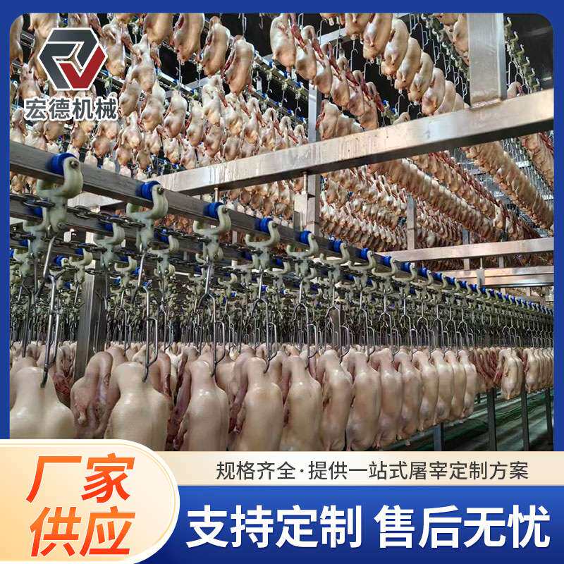 大型鸡鸭鹅宰杀流水线 淘汰蛋鸡屠宰设备 笨鸡自动化脱羽机